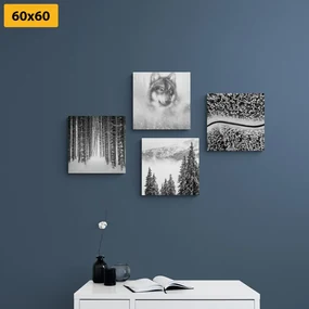 Set tablouri lupul în pădure misterioasă în design alb-negru
