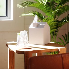 Cutie pentru șervețele din plastic Casa – Umbra