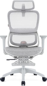 Scaun ergonomic SIHOO B100, Suport lombar dinamic cu ajustare automata, Cotiere 4D, Tetiera 3D, Mecanism multifunctional inclinare/blocare in 3 pozitii, Suport picioare, Mesh, Gri