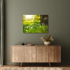 Tablou pe sticlă cu poiana și flori (70x50 cm)