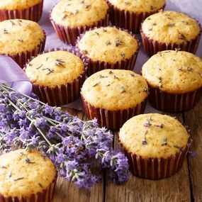 Formă Orion Grande, 24 de brioșe, 42 x 26 cm