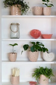 Vitrina alba, de perete, din lemn masiv si furnir, cu 2 usi si 3 rafturi, aspect rustic, Marseille