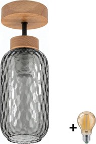 BRILAGI - LED lustru aplicat R GLASS 1xE27/60W/230V Ø 14 cm stejar/gri fumuriu