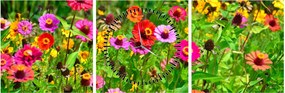 Tablou cu flori de luncă (cu ceas) (90x30 cm)