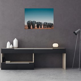 Tablou pe sticlă - Plecarea elefanților (70x50 cm)