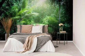 Fototapet potecă pe insula Seychelles