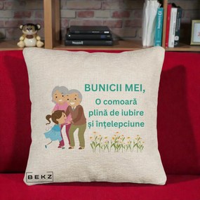Cadou pentru Bunici - Perna Personalizata Bunicii Mei Comoara Iubire Intelepciune Nepoata, 40x40 cm, Bej Canapea, Husa Detasabila, Perna Inclusa, BEKZ®