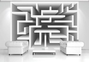 Fototapet - 3D labirint (254x184 cm)
