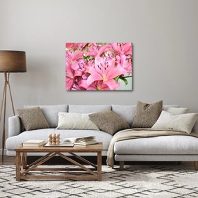 Tablou - Liliac roz (70x50 cm)