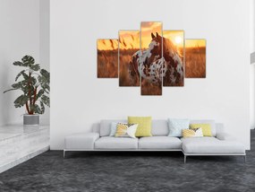 Tablou - Cal la Apus (150x105 cm)