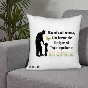 Cadou pentru Bunic - Perna Personalizata Bunicul Meu Izvor de Liniste cu Fluture si Fetita, 40x40 cm, Alb Pufos, Husa Detasabila, Perna Inclusa, BEKZ®