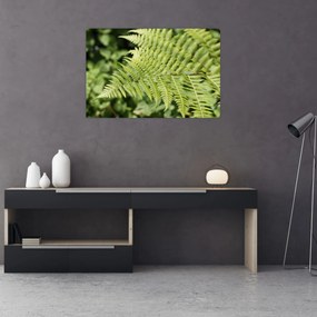 Tablou - Frunză de ferigă (90x60 cm)