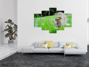 Tablou cu păpădie (150x105 cm)