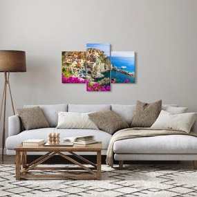 Tablou - Satul italian Manarola (90x60 cm)