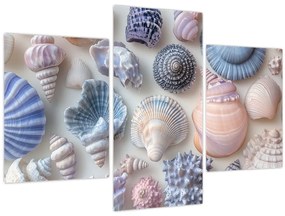 Tablou - Colecție de scoici (90x60 cm)