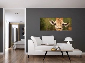 Tablou girafe (120x50 cm)