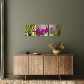 Tablou - spa and stones (cu ceas) (90x30 cm)
