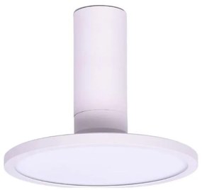 Rabalux 71328 - Plafonieră LED OVIDIA, 20W, 230V, 3000K, albă
