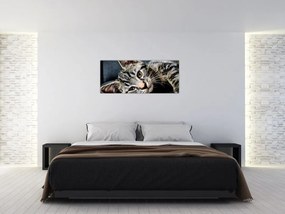 Tablou - Pisoi (120x50 cm)