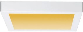 Plafonieră LED/13W CARPO 230V 2300/2500/3000K Paulmann 79801