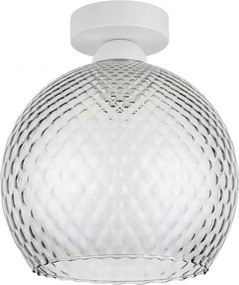 BRILAGI - Plafonieră LED R GLASS 1xE27/60W/230V Ø 25 cm alb/gri fumuriu
