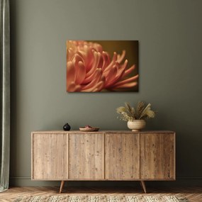 Tablou cu detailu florii (70x50 cm)
