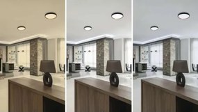 Plafonieră LED cu funcție de dimare ILVI LED/30W/230V 2700-6500K Ø 40 cm negru/bej + telecomandă