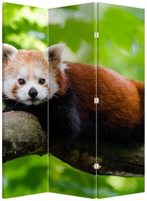 Paravan - Panda roșie (126x170 cm)