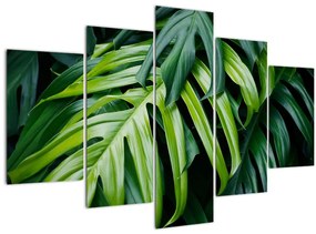 Tablou - Frunze tropicale (150x105 cm)