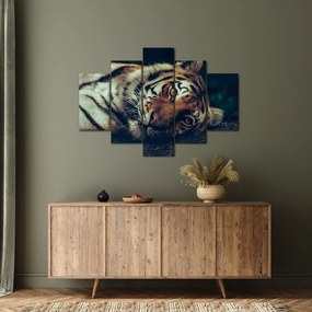 Tablou - Tigrul Siberian (150x105 cm)