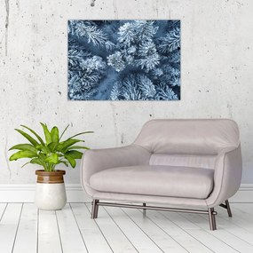 Tablou pe sticlă - Pădure înzăpezită (70x50 cm)