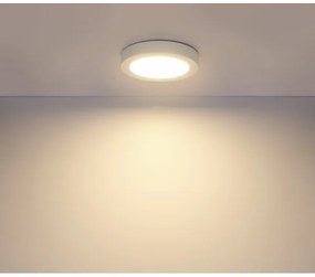 Globo 41605-18 - Plafonieră baie LED PAULA 1xLED/18W/230V IP44