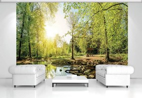Fototapet - Pădurea verde (152,5x104 cm)
