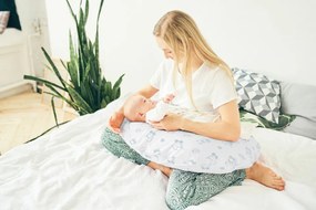 Perna pentru alaptat, closetome, toys