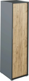 Dulap RIOMA NEW TYP 20, gri grafit/stejar artisan, DTD laminat, cu o u