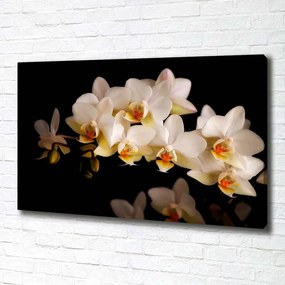 Tablou pe pânză canvas Orhidee