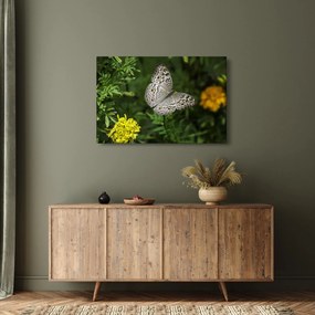 Tablou - fluture alb (90x60 cm)
