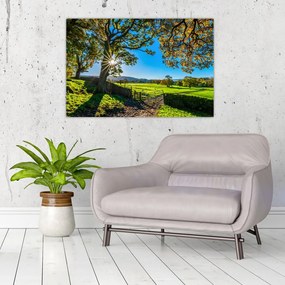 Tablou Privire la câmp (90x60 cm)