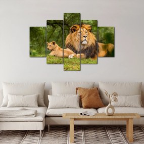 Tablou cu lei (150x105 cm)