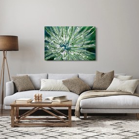 Tablou - Imagine macro a unei flori (90x60 cm)