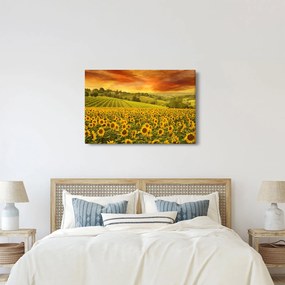 Tablou - Câmp de floarea-soarelui (90x60 cm)