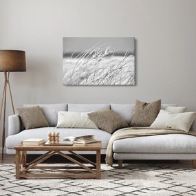 Tablou - Iarbă de plajă (90x60 cm)