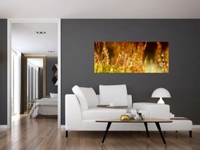 Tablou - Detaliu rouă (120x50 cm)