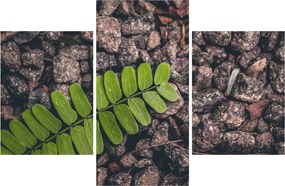 Tablou cu planta verde (90x60 cm)