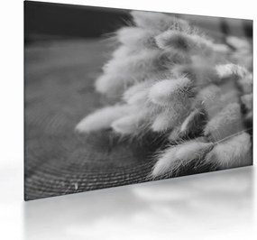 Tablou pe sticlă - iarbă de coadă de iepure pe masă (70x50 cm)