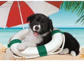 Câine Sunny Beach Puzzle Clementoni de 104 piese