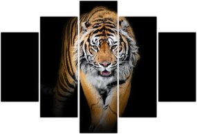 Tablou - Tiger (150x105 cm)