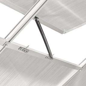 Seră din policarbonat 250 x 430 x 124/205 cm