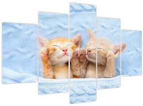 Tablou - Pisicuțe adormite (150x105 cm)