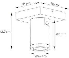 Spot LED dimabil TAYLOR 1xGU10/5W/230V IP44 Lucide 09930/05/31
